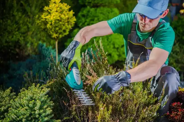 landscaping services Kenesaw